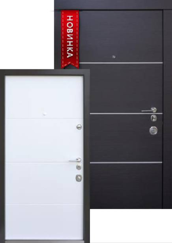 Купити Вхідні Двері Авангард Горизонт AL 2 кольори  Qdoors | Двері-Маркет фото 2